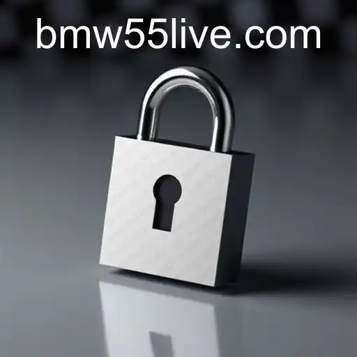 Privacy Policy Insights for BMW55 Users